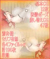 ら×まと孕ませくノ一ごっこ
