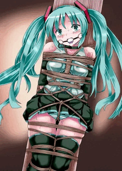 ミクさん
