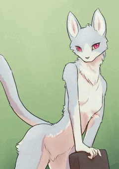 細身なねこけもさん