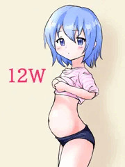 14歳妊娠経過の記録
