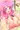 お花見会場でパイズリしちゃう彩ちゃん…♥
