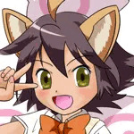 西表山猫