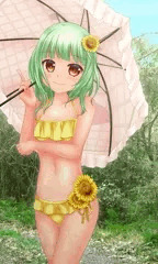 太陽の花