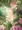 意志を持つ植物に利用されちゃう女の子
