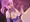 動く！手コキアナル責めgif