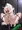 吊られた綾波ちゃん