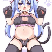 猫マタニティ