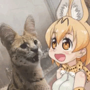 西に吠えろ、東に吠えろ