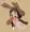 フエラムネ
