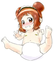 pdisan