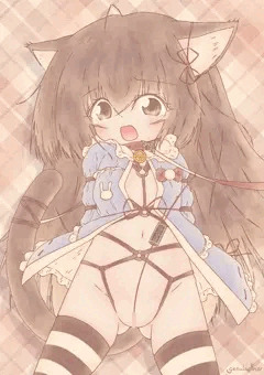ねこさんぽ