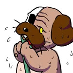 わんざっく
