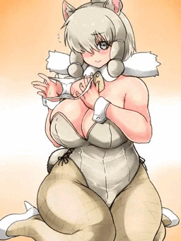 アルパカの日だったりバニーとかパンツの日だったり