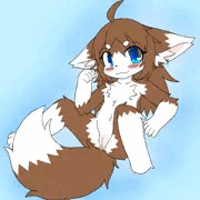 メスケモちゃん