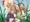 赤い花AA×白い花aa