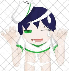せんちょ