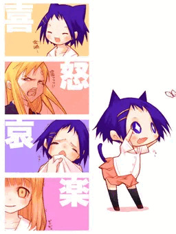 華菜ちゃん