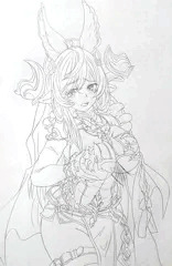 明けましておめでとう御座いますm(__)m