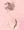 ねこみみ。