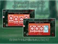 狐々遊戯