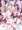 沙花叉クロヱ