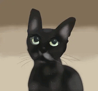 黒猫
