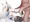 fbkちゃんとバック