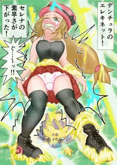 セレナ　デンチュラ　エレキネット