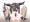ダヌアちゃんパイズリ