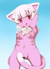 ねこ。