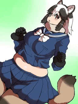 たぬぽんぽ