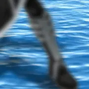 利根改ニに動いてもらいました♪