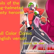English translated version