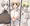 パーカー紐下着コレクション