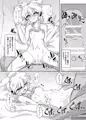 第１３回東方紅楼夢新刊