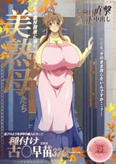 早苗さんの二度目の恋　AVパッケージ