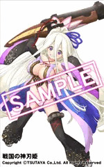 【戦国の神刃姫】雑賀孫市