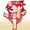 踊り子
