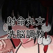 射命丸文洗脳調教