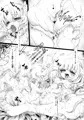 シャプロンルージュ