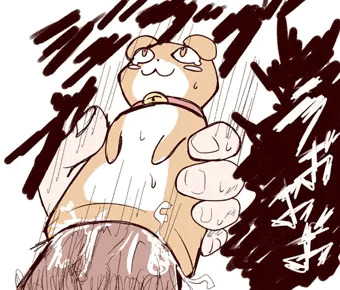 ガウムナホ