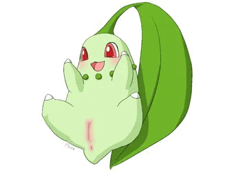 チコリータ