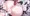 ドスケベお嬢様学園CG集のサンプル大量18枚！