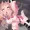 魔法少女ノーブル・ローズ