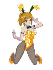 ホシノ・フミナ　バニーver