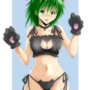 リディアでねこランジェリー