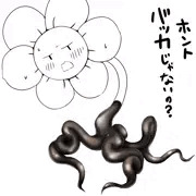 タイツフラウィ