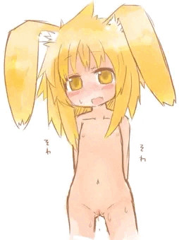 交尾日