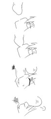 きゃんたまふぉーる