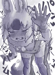 ド